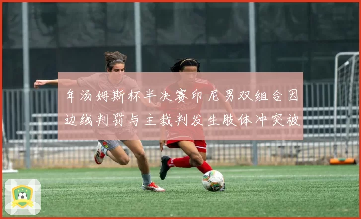 年汤姆斯杯半决赛印尼男双组合因边线判罚与主裁判发生肢体冲突被罚黄牌
