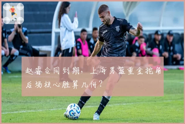 赵睿合同到期，上海男篮重金挖角后场核心胜算几何？